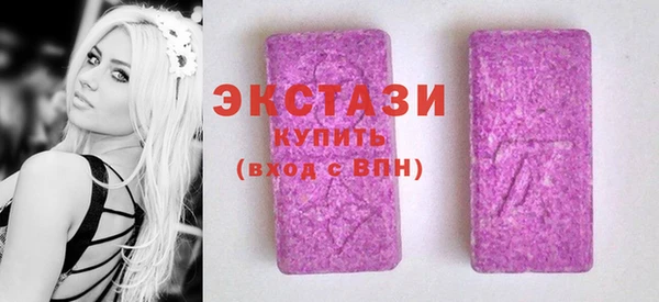 ECSTASY Богданович